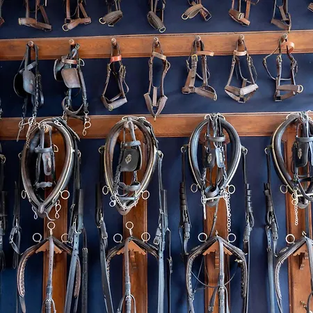 Cite Pontavice Du Haras National Du Pin * Le Pin-au-Haras