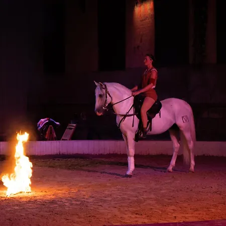 Отель Cite Pontavice Du Haras National Du Pin