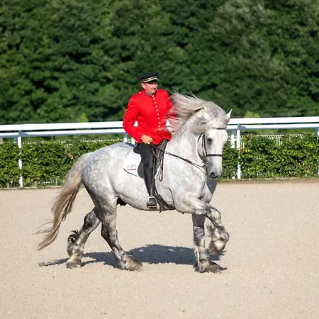 Cite Pontavice Du Haras National Du Pin *