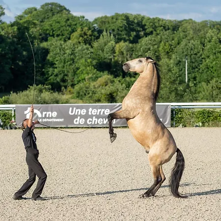Cite Pontavice Du Haras National Du Pin Отель Le Pin-au-Haras