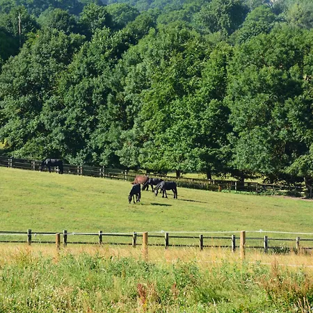 Cite Pontavice Du Haras National Du Pin