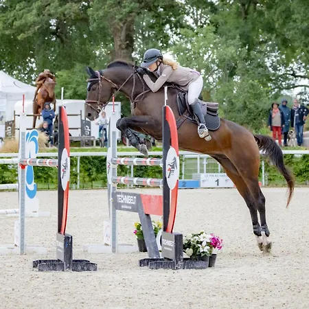 Отель Cite Pontavice Du Haras National Du Pin *