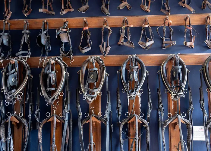 Cite Pontavice Du Haras National Du Pin * Le Pin-au-Haras