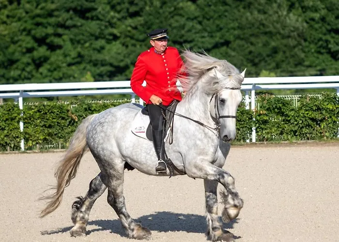 Cite Pontavice Du Haras National Du Pin *