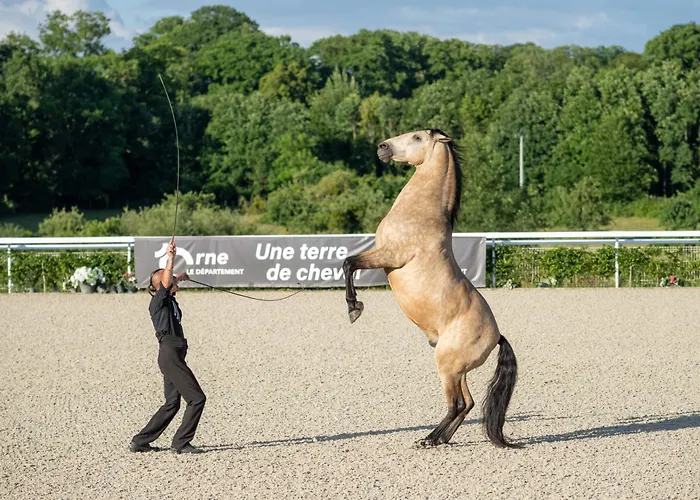 Cite Pontavice Du Haras National Du Pin Hotel Le Pin-au-Haras