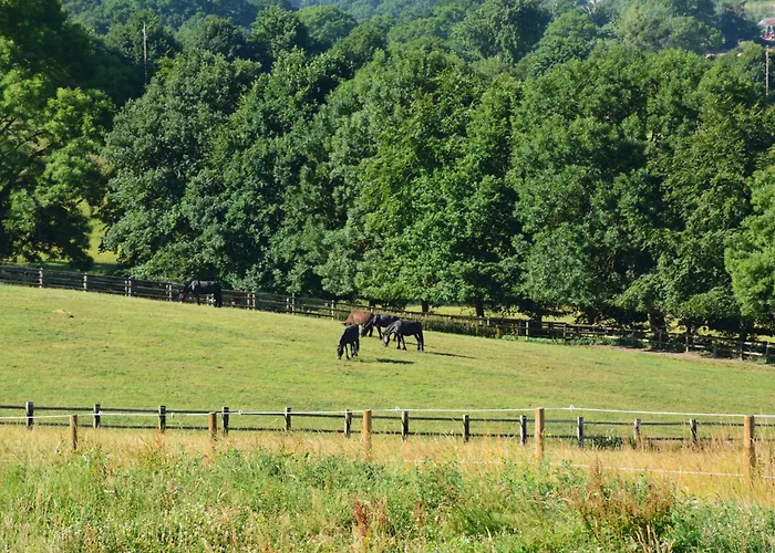 Cite Pontavice Du Haras National Du Pin