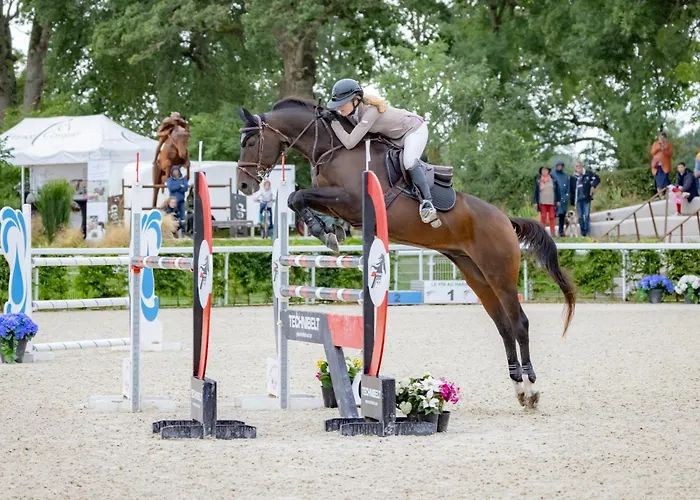 Hotel Cite Pontavice Du Haras National Du Pin *